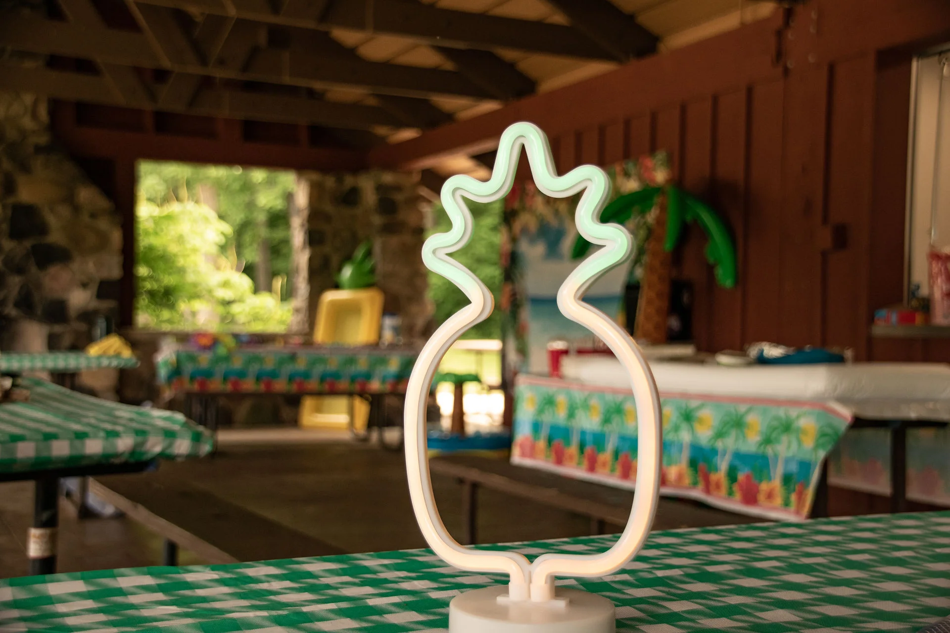 Photos of food, happenings, staff and family during the company picnic event